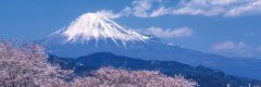 山水意境——东京+箱根7日